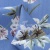 Плательная ткань "Фламенко" 12.1, 80 гр/м2, шир.150 см, принт растительный - купить в Улан-Удэ. Цена 241.49 руб.