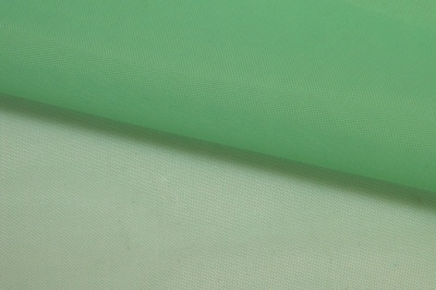 Портьерный капрон 15-6123, 47 гр/м2, шир.300см, цвет св.зелёный - купить в Улан-Удэ. Цена 137.27 руб.