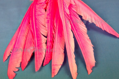 Декоративный Пучок из перьев, перо 25см/розовый - купить в Улан-Удэ. Цена: 14.40 руб.