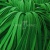 Шнур 15мм плоский (100+/-1м) №16 зеленый - купить в Улан-Удэ. Цена: 10.21 руб.