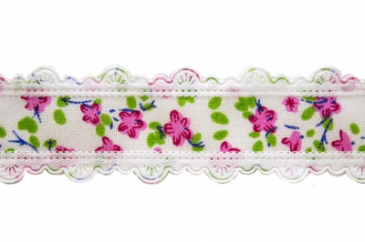 Тесьма декоративная 0385-6170, шир. 25 мм/уп. 22,8+/-1 м, цвет 02-розовый - купить в Улан-Удэ. Цена: 364.70 руб.