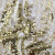 Трикотажное полотно, Сетка с пайетками, шир.130 см, #315, цв.-белый/золото - купить в Улан-Удэ. Цена 693.39 руб.