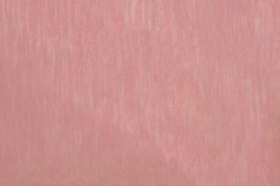 Органза однотонная "Амелия" С19 (Розовый) 280 см - купить в Улан-Удэ. Цена 303.09 руб.