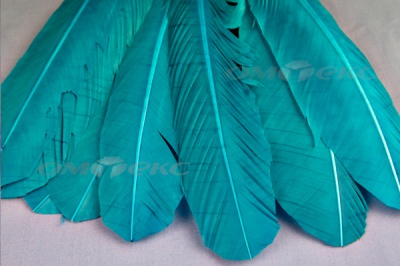 Декоративный Пучок из перьев, перо 24см/голубой - купить в Улан-Удэ. Цена: 12.19 руб.