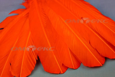 Декоративный Пучок из перьев, перо 24см/оранжевый - купить в Улан-Удэ. Цена: 12.19 руб.