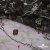 Сетка с вышивкой "Мадрид" 135 г/м2, 100% нейлон, ширина 130 см, Цвет 4/Черный - купить в Улан-Удэ. Цена 980 руб.