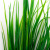 Трава искусственная -2, шт (осока 41см/8 см)				 - купить в Улан-Удэ. Цена: 104.57 руб.