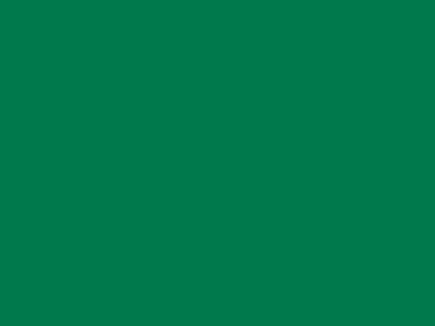 85 см № 258 яр. зеленый спираль (G) сорт-2 - купить в Улан-Удэ. Цена: 16.97 руб.