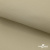Ткань подкладочная TWILL 230T 14-1108, беж светлый 100% полиэстер,66 г/м2, шир.150 cм - купить в Улан-Удэ. Цена 90.59 руб.