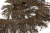 008-коричневый, Бахрома арт.001 шир.10см (упак.12+/-0,5м) - купить в Улан-Удэ. Цена: 1 017.33 руб.