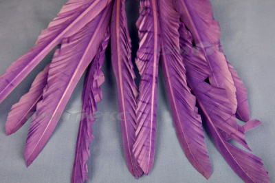 Декоративный Пучок из перьев, перо 25см/фиолетовый - купить в Улан-Удэ. Цена: 12.19 руб.