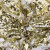 Трикотажное полотно, Сетка с пайетками, шир.130 см, #315, цв.-белый/золото - купить в Улан-Удэ. Цена 693.39 руб.