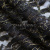Кружевное полотно XD LACE 1-4, 80 гр/м2, шир.150см, цвет чёрный - купить в Улан-Удэ. Цена 245.94 руб.
